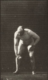 Plate 302 Picking up a ball and throwing it — figure reference